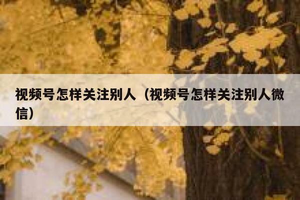 视频号怎样关注别人(视频号怎样关注别人微信) 第1张 视频号怎样关注别人(视频号怎样关注别人微信) 第1张