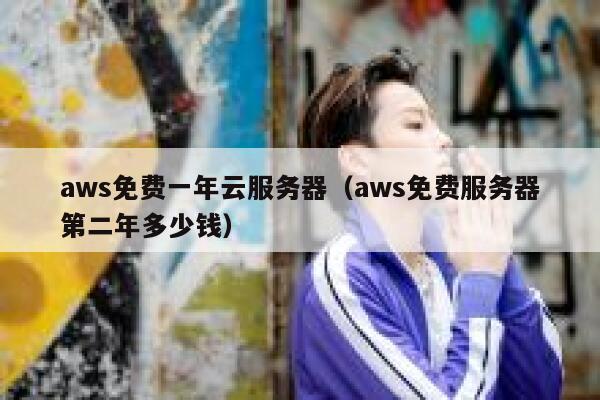aws免费一年云服务器（aws免费服务器第二年多少钱） 第1张