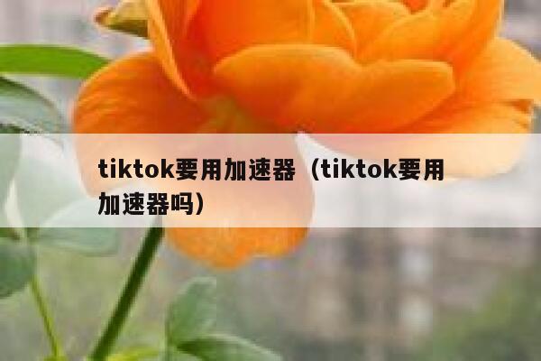 tiktok要用加速器（tiktok要用加速器吗） 第1张