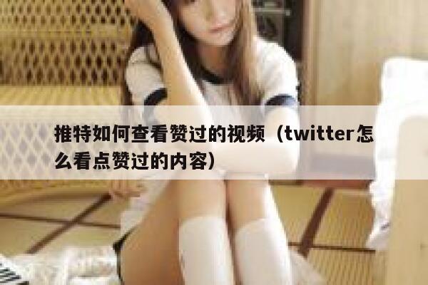 推特如何查看赞过的视频（twitter怎么看点赞过的内容） 第1张