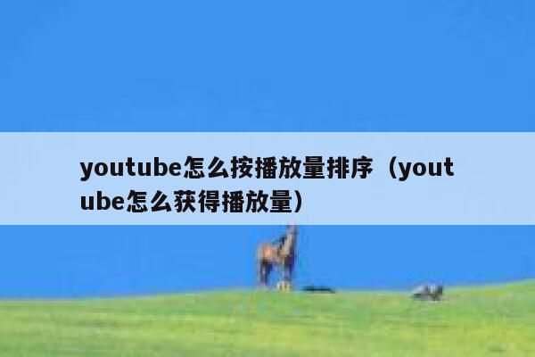 youtube怎么按播放量排序(youtube怎么获得播放量) 第1张 youtube怎么按播放量排序(youtube怎么获得播放量) 第1张