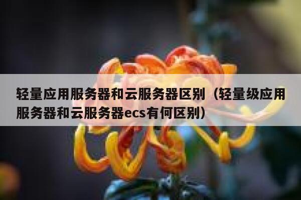 轻量应用服务器和云服务器区别(轻量级应用服务器和云服务器ecs有何区别) 第1张 轻量应用服务器和云服务器区别(轻量级应用服务器和云服务器ecs有何区别) 第1张