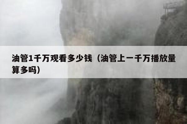 油管1千万观看多少钱（油管上一千万播放量算多吗） 第1张