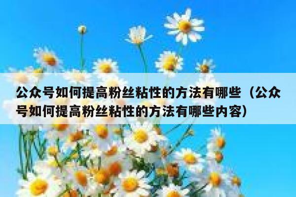 公众号如何提高粉丝粘性的方法有哪些(公众号如何提高粉丝粘性的方法有哪些内容) 第1张 公众号如何提高粉丝粘性的方法有哪些(公众号如何提高粉丝粘性的方法有哪些内容) 第1张
