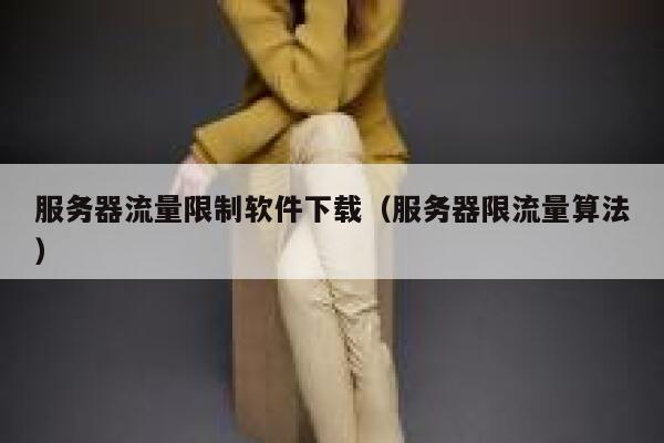 服务器流量限制软件下载(服务器限流量算法) 第1张 服务器流量限制软件下载(服务器限流量算法) 第1张