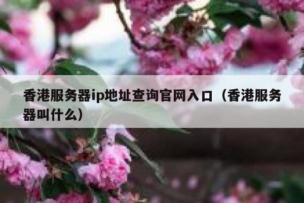 香港服务器ip地址查询官网入口（香港服务器叫什么） 第1张