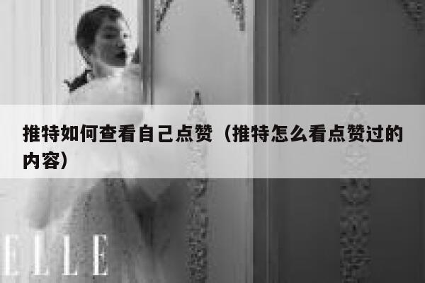 推特如何查看自己点赞（推特怎么看点赞过的内容） 第1张