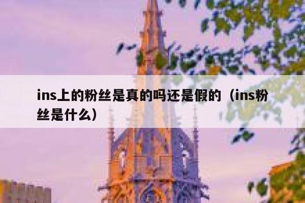 ins上的粉丝是真的吗还是假的（ins粉丝是什么） 第1张