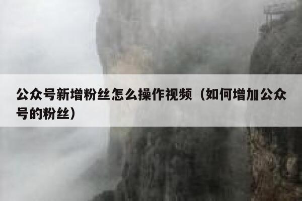 公众号新增粉丝怎么操作视频（如何增加公众号的粉丝） 第1张