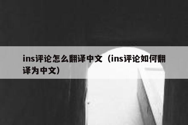 ins评论怎么翻译中文（ins评论如何翻译为中文） 第1张