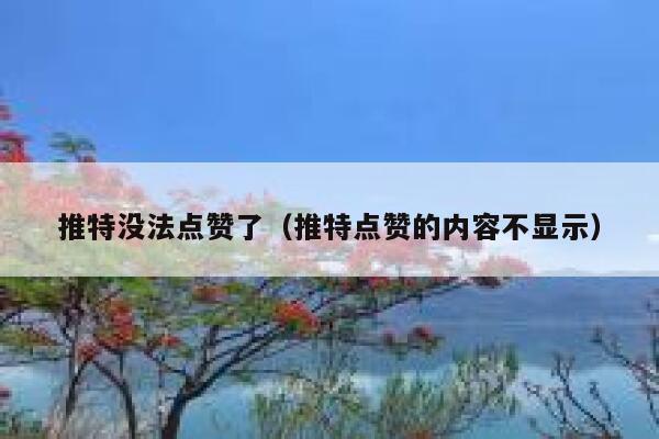 推特没法点赞了（推特点赞的内容不显示） 第1张