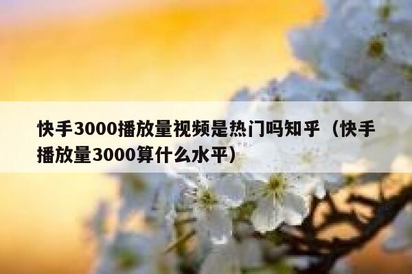 快手3000播放量视频是热门吗知乎（快手播放量3000算什么水平） 第1张