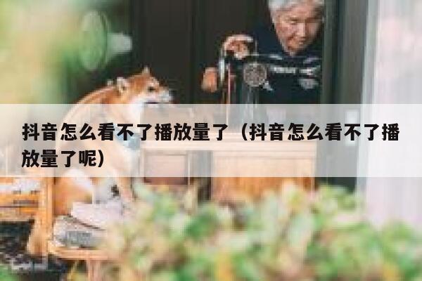 抖音怎么看不了播放量了（抖音怎么看不了播放量了呢） 第1张