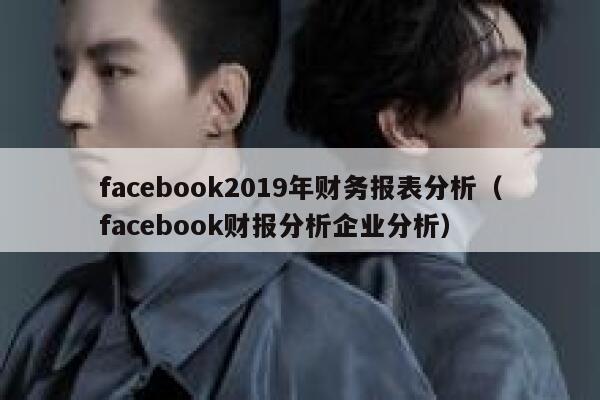 facebook2019年财务报表分析(facebook财报分析企业分析) 第1张 facebook2019年财务报表分析(facebook财报分析企业分析) 第1张