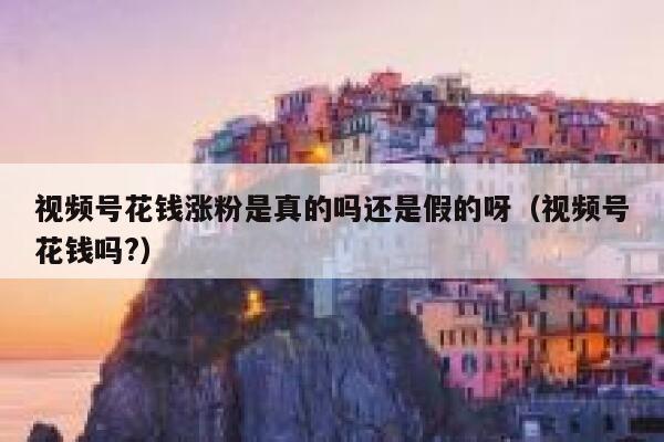 视频号花钱涨粉是真的吗还是假的呀(视频号花钱吗?) 第1张 视频号花钱涨粉是真的吗还是假的呀(视频号花钱吗?) 第1张