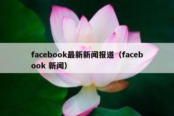 facebook最新新闻报道（facebook 新闻） 第1张