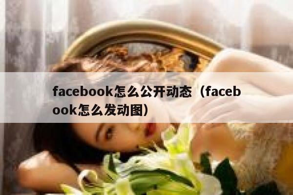 facebook怎么公开动态（facebook怎么发动图） 第1张