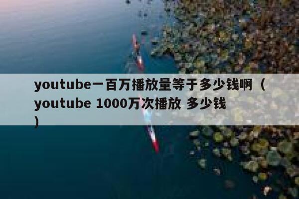 youtube一百万播放量等于多少钱啊（youtube 1000万次播放 多少钱） 第1张