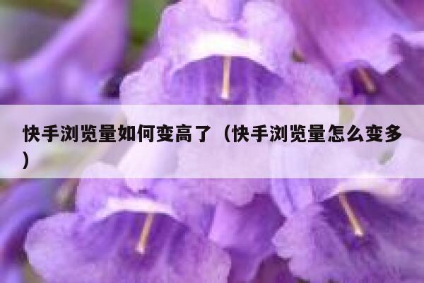 快手浏览量如何变高了（快手浏览量怎么变多） 第1张