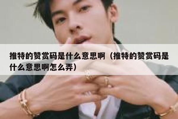 推特的赞赏码是什么意思啊（推特的赞赏码是什么意思啊怎么弄） 第1张