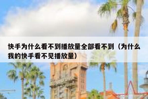 快手为什么看不到播放量全部看不到（为什么我的快手看不见播放量） 第1张