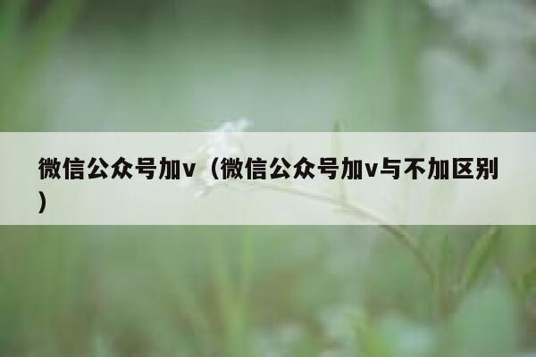 微信公众号加v（微信公众号加v与不加区别） 第1张