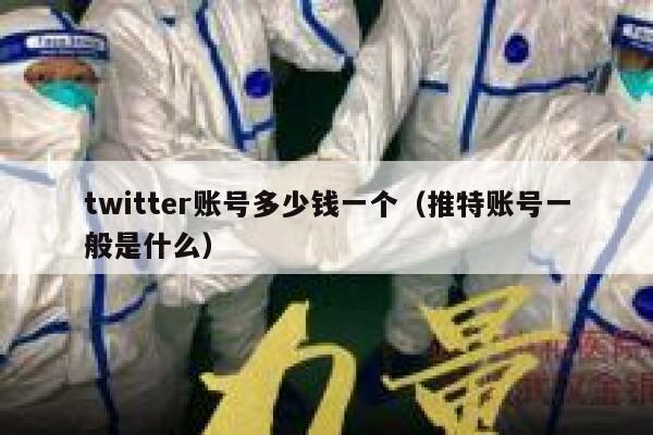 twitter账号多少钱一个（推特账号一般是什么） 第1张