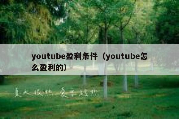 youtube盈利条件（youtube怎么盈利的） 第1张