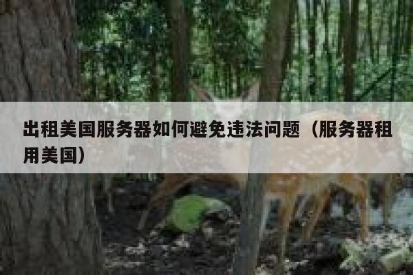 出租美国服务器如何避免违法问题（服务器租用美国） 第1张