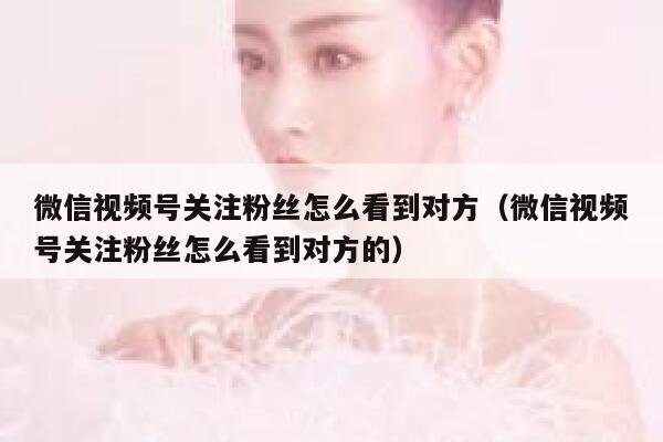 微信视频号关注粉丝怎么看到对方（微信视频号关注粉丝怎么看到对方的） 第1张