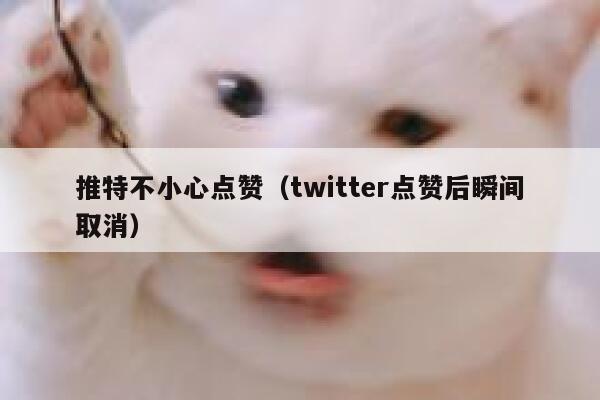 推特不小心点赞（twitter点赞后瞬间取消） 第1张
