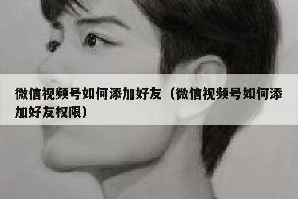 微信视频号如何添加好友(微信视频号如何添加好友权限) 第1张 微信视频号如何添加好友(微信视频号如何添加好友权限) 第1张