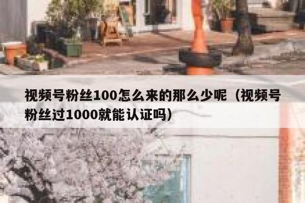 视频号粉丝100怎么来的那么少呢（视频号粉丝过1000就能认证吗） 第1张