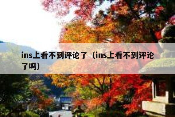 ins上看不到评论了(ins上看不到评论了吗) 第1张 ins上看不到评论了(ins上看不到评论了吗) 第1张