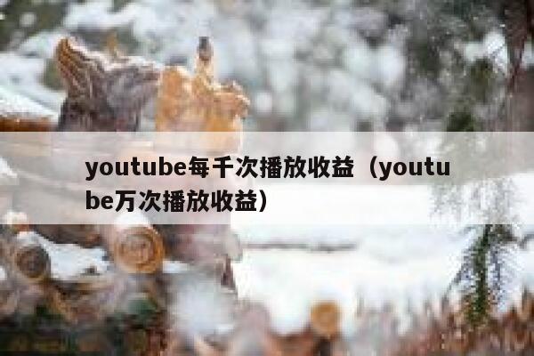 youtube每千次播放收益（youtube万次播放收益） 第1张