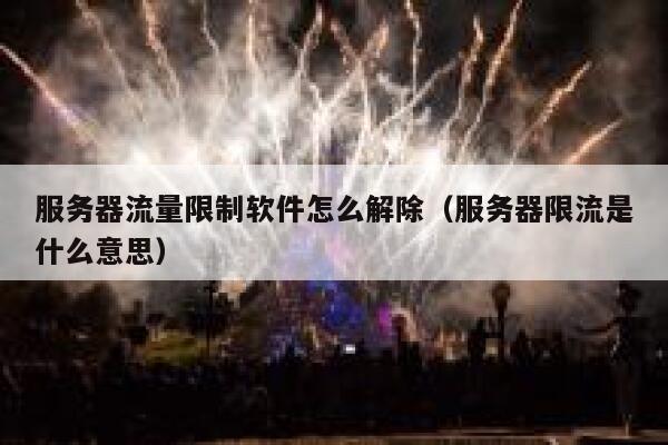 服务器流量限制软件怎么解除（服务器限流是什么意思） 第1张