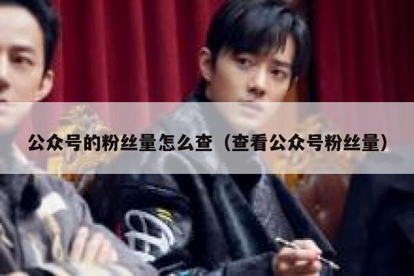 公众号的粉丝量怎么查（查看公众号粉丝量） 第1张