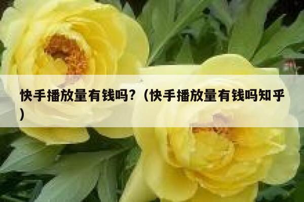 快手播放量有钱吗?（快手播放量有钱吗知乎） 第1张