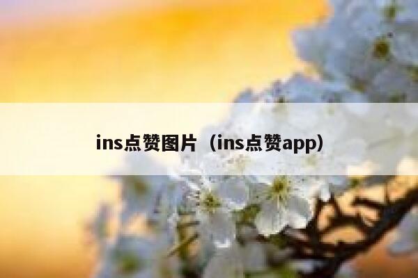 ins点赞图片（ins点赞app） 第1张