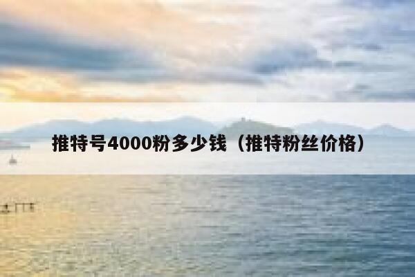 推特号4000粉多少钱（推特粉丝价格） 第1张