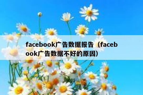 facebook广告数据报告（facebook广告数据不好的原因） 第1张