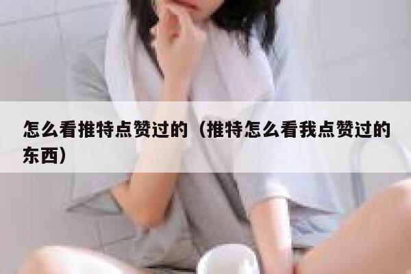 怎么看推特点赞过的（推特怎么看我点赞过的东西） 第1张