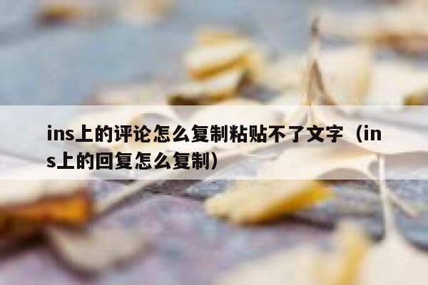 ins上的评论怎么复制粘贴不了文字（ins上的回复怎么复制） 第1张