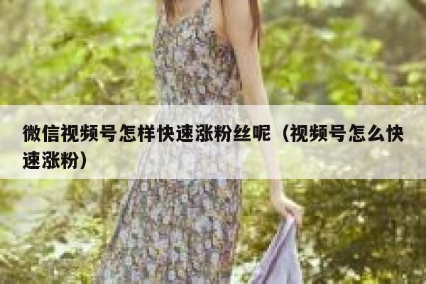微信视频号怎样快速涨粉丝呢（视频号怎么快速涨粉） 第1张
