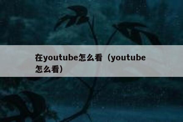 在youtube怎么看（youtube 怎么看） 第1张