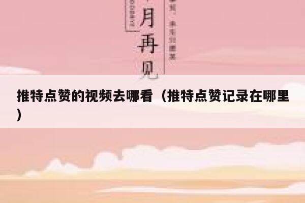 推特点赞的视频去哪看（推特点赞记录在哪里） 第1张