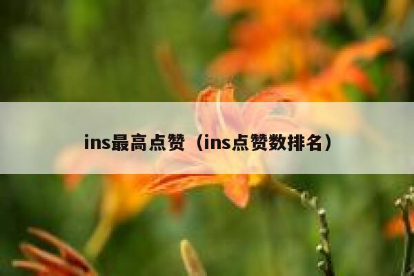 ins最高点赞(ins点赞数排名) 第1张 ins最高点赞(ins点赞数排名) 第1张