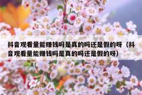 抖音观看量能赚钱吗是真的吗还是假的呀(抖音观看量能赚钱吗是真的吗还是假的呀) 第1张 抖音观看量能赚钱吗是真的吗还是假的呀(抖音观看量能赚钱吗是真的吗还是假的呀) 第1张