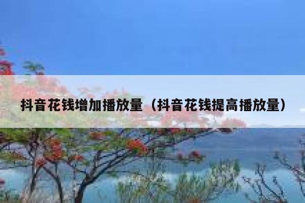 抖音花钱增加播放量(抖音花钱提高播放量) 第1张 抖音花钱增加播放量(抖音花钱提高播放量) 第1张