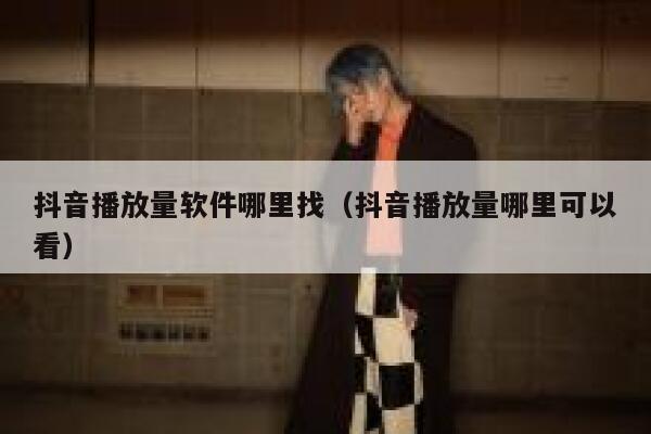 抖音播放量软件哪里找（抖音播放量哪里可以看） 第1张